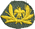 Italy - late WW2 era airmen's field cap badge