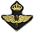 Sweden WW2 era aviation officer's cap badge
