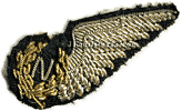 Navigator bullion half wing, 1942 pattern.
