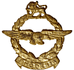 Rhodesian WW2 period cap badge