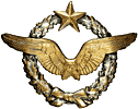 France WW1 (1914-1918) pilot badge