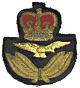 RAF officer's peaked cap badge