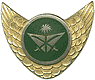 Saudi Arabian Airlines pilot cap badge