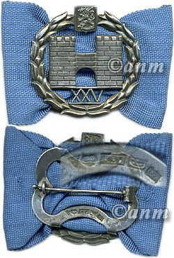 Army Officer's school graduation badge