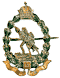 1914-1916, 42 Infantry Regiment kappenabzeichen