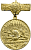 Latvian Firefighter's Association 10 years commemoration medal.